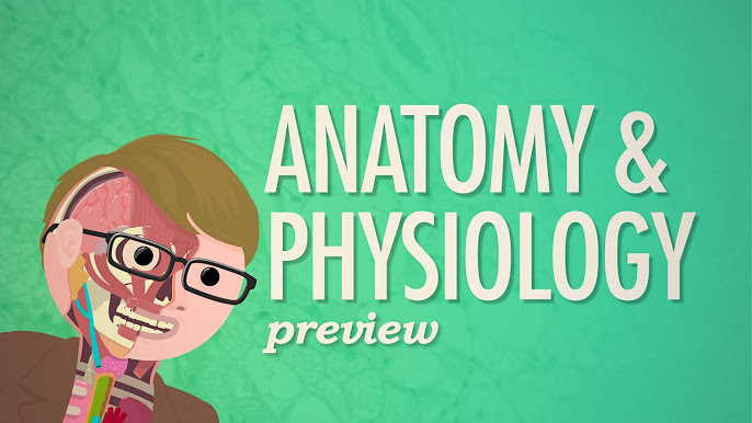 crash course anatomy and physiology